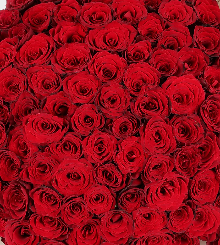100 Red Roses - Image 2