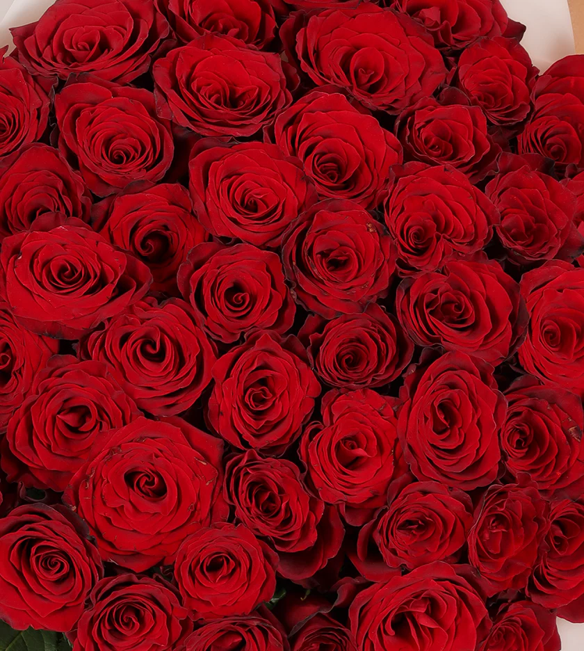 50 Red Roses - Image 2