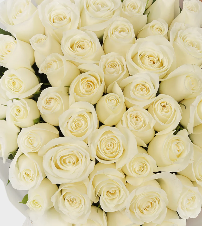 50 White Roses - Image 2