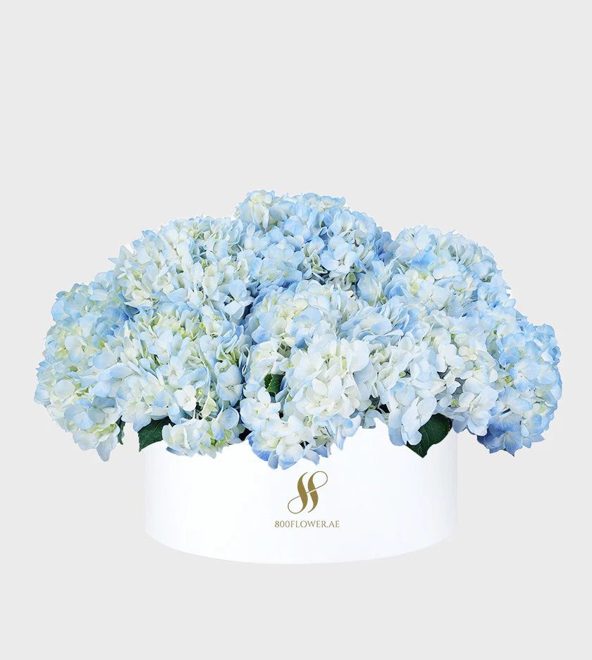Blue Hydrangea Large Round Box - Image 2