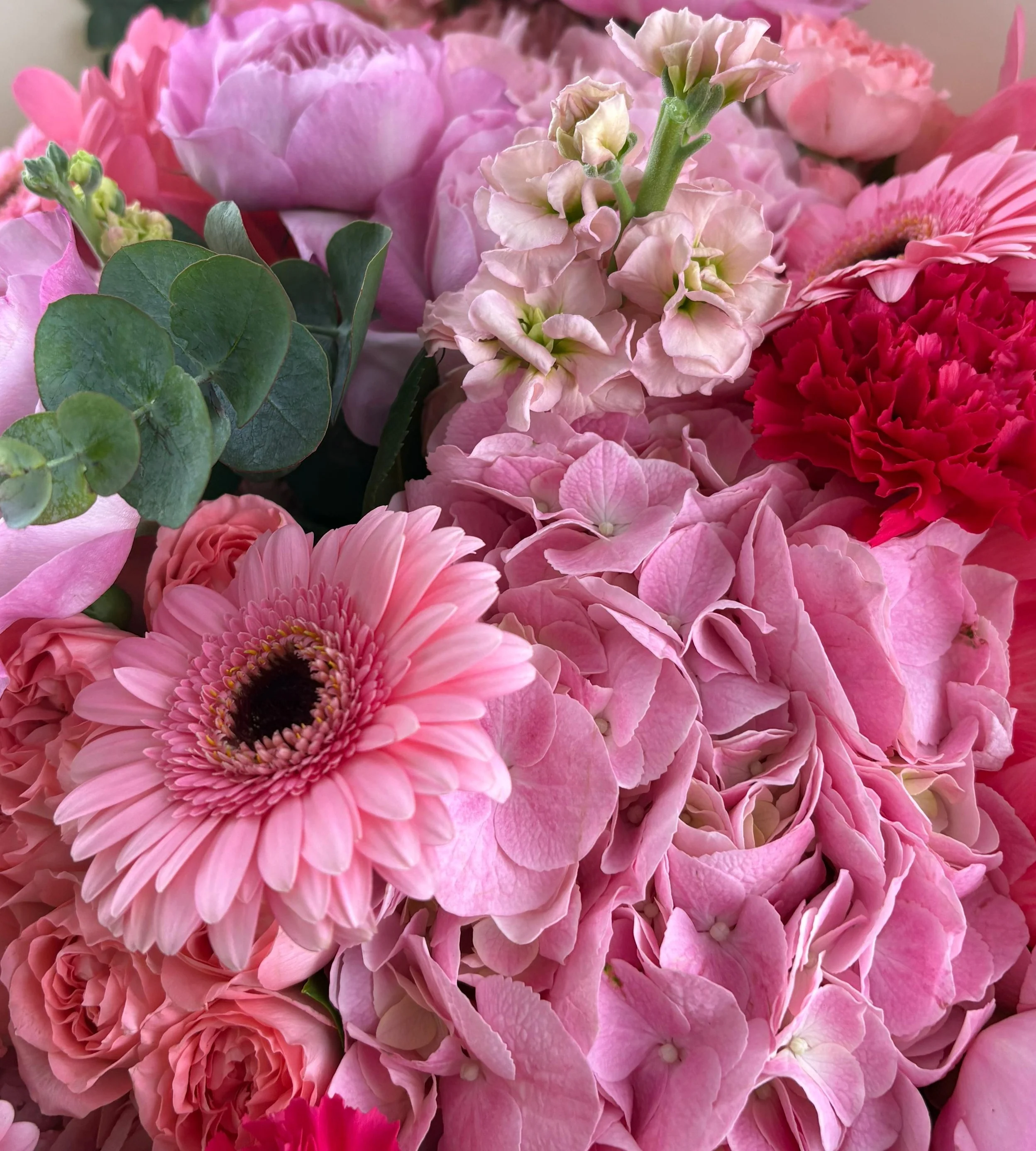 Blush Bloom - Image 2