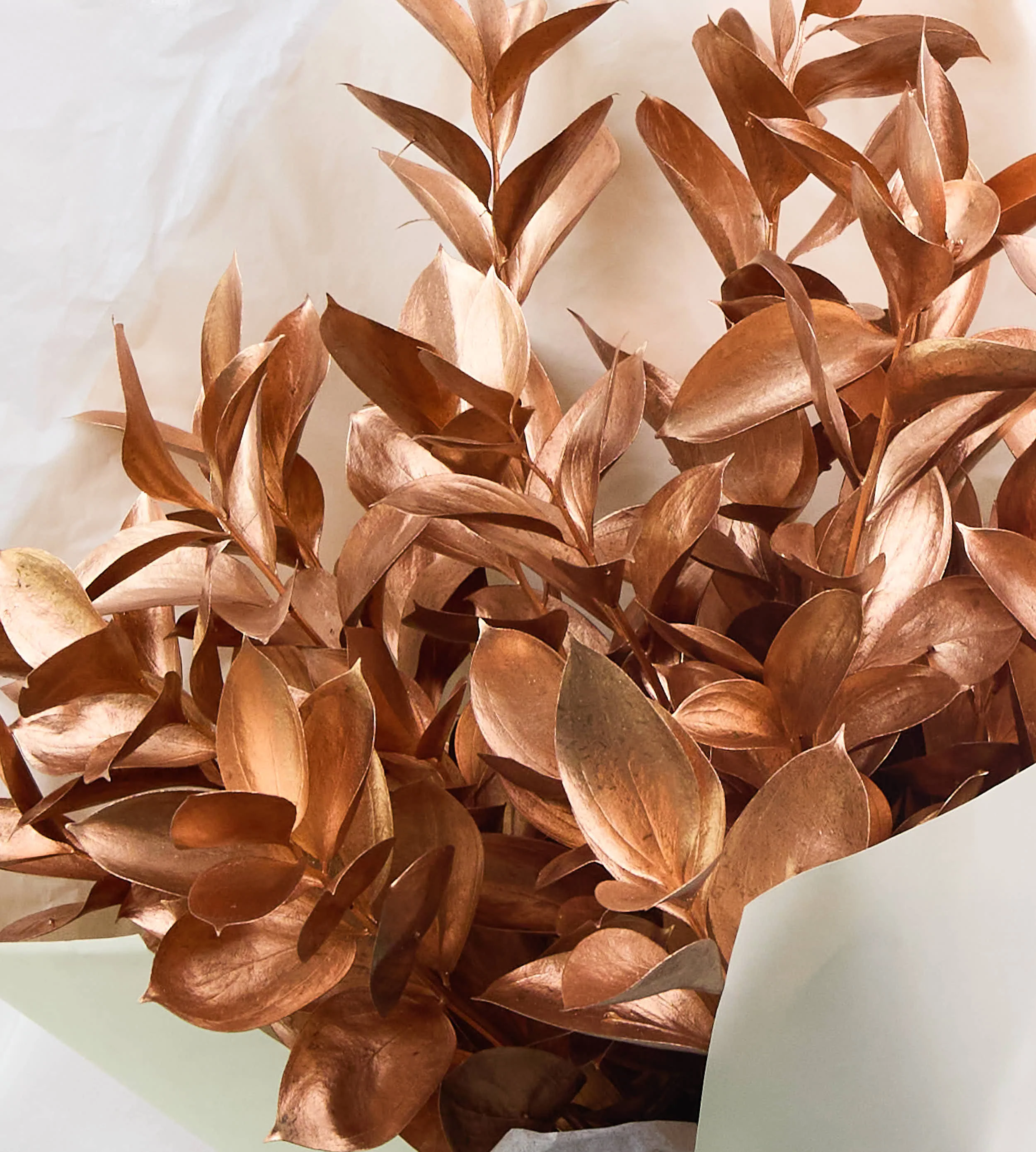 Bronze Glow - Image 2