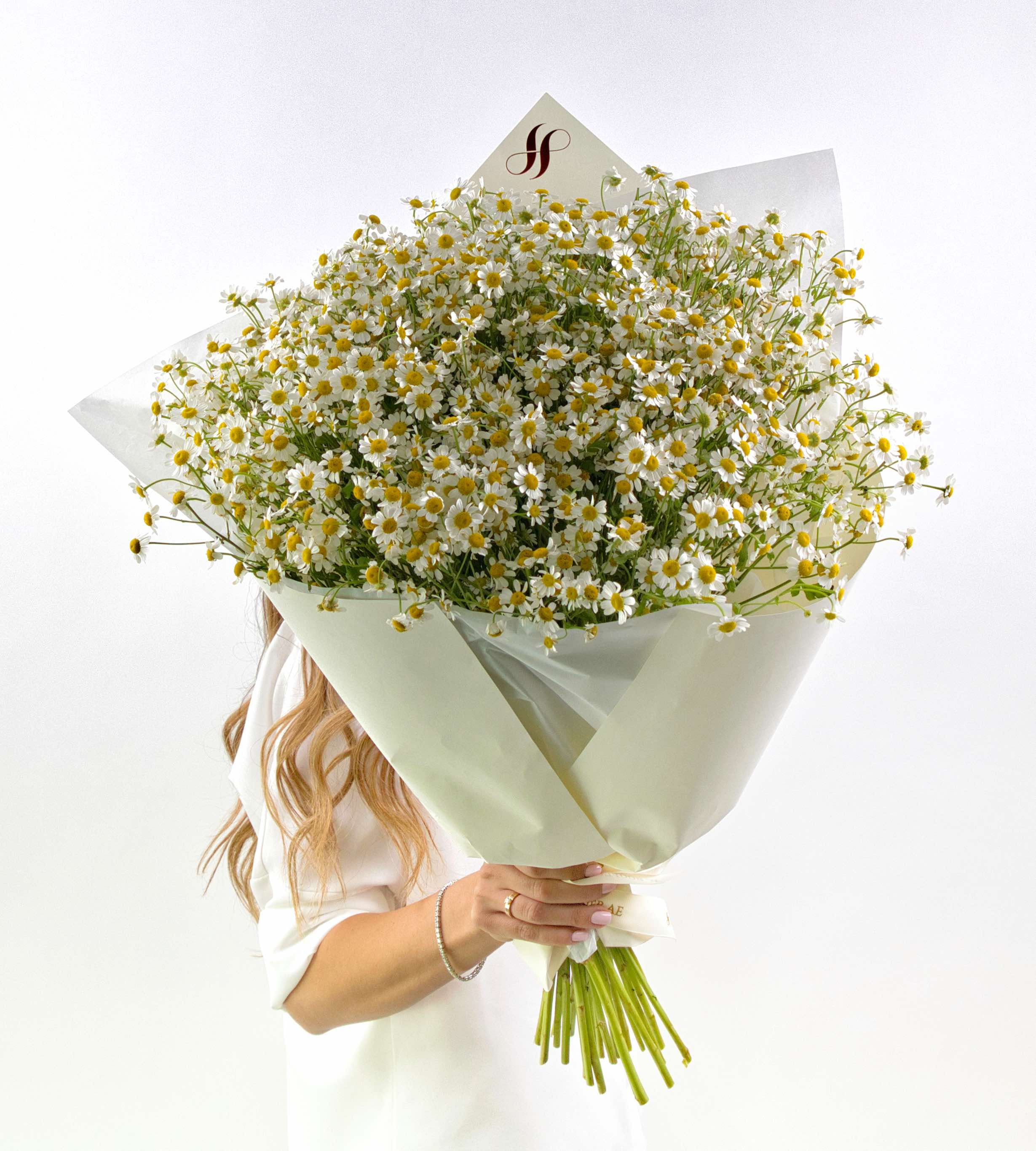 Chamomile Charm