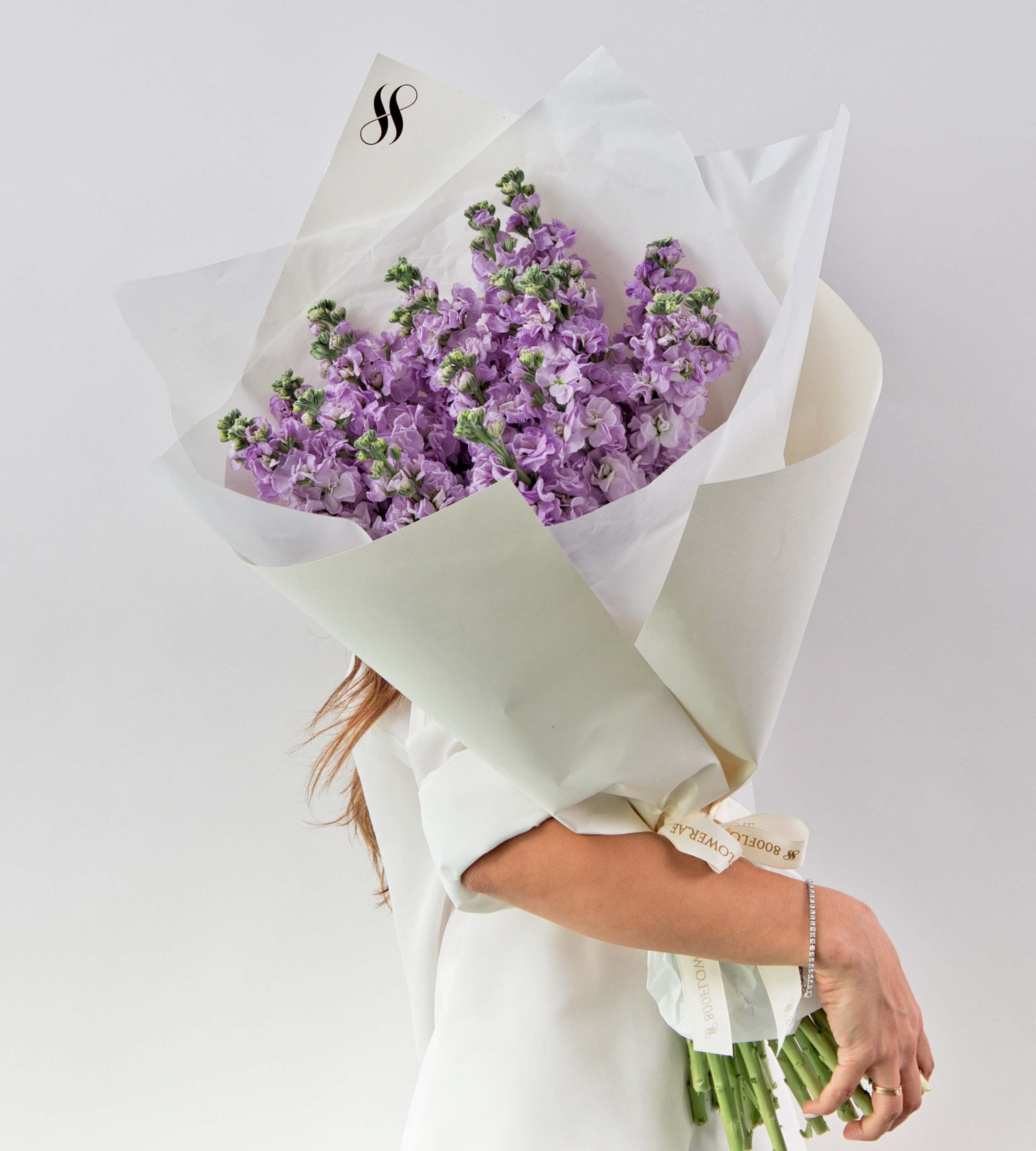 Lilac Whisper