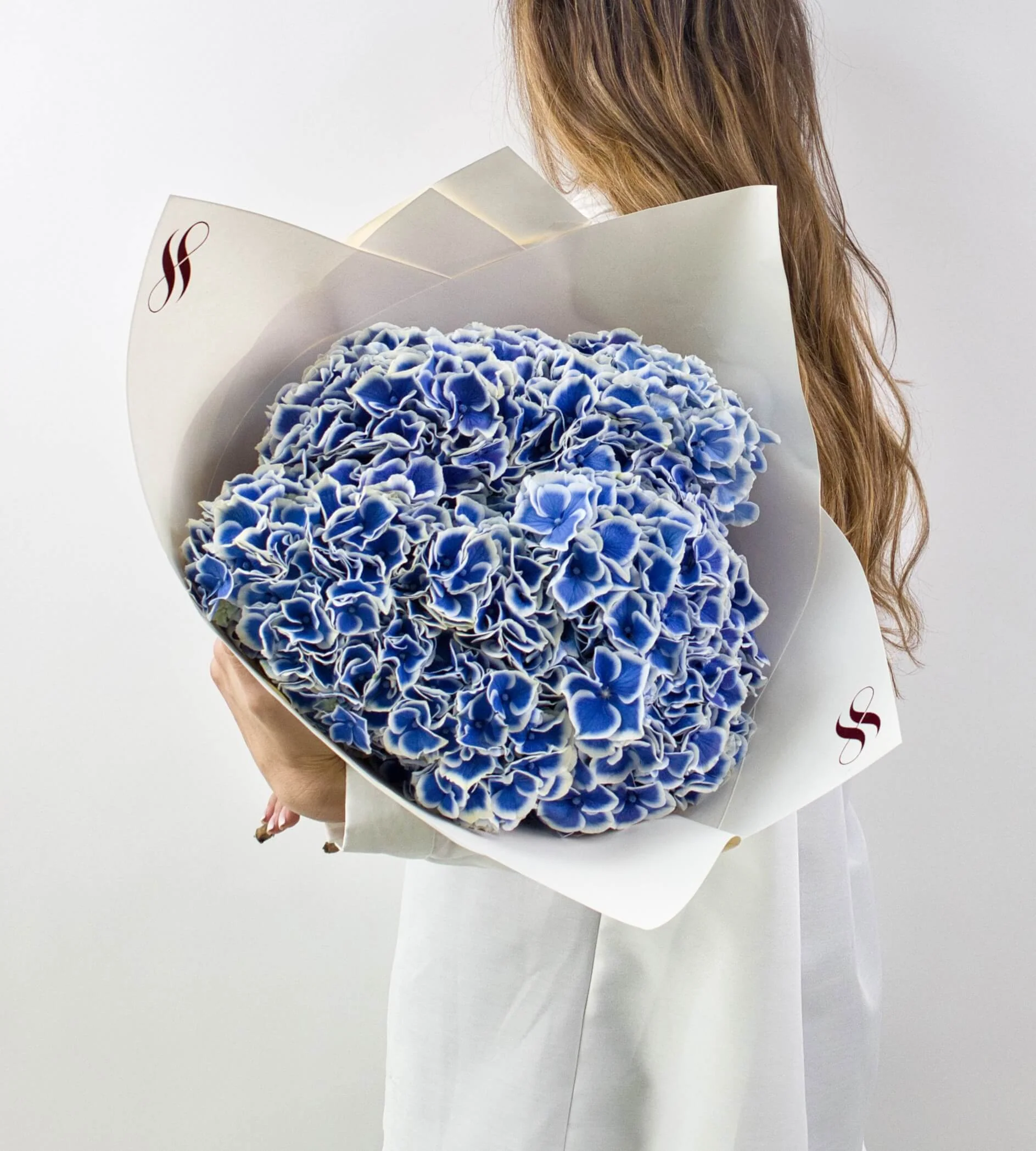 Ocean Embrace