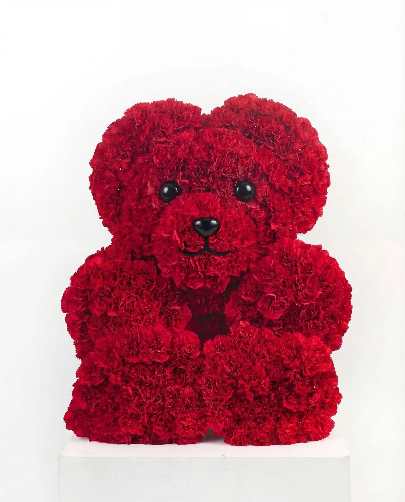 T Bear
