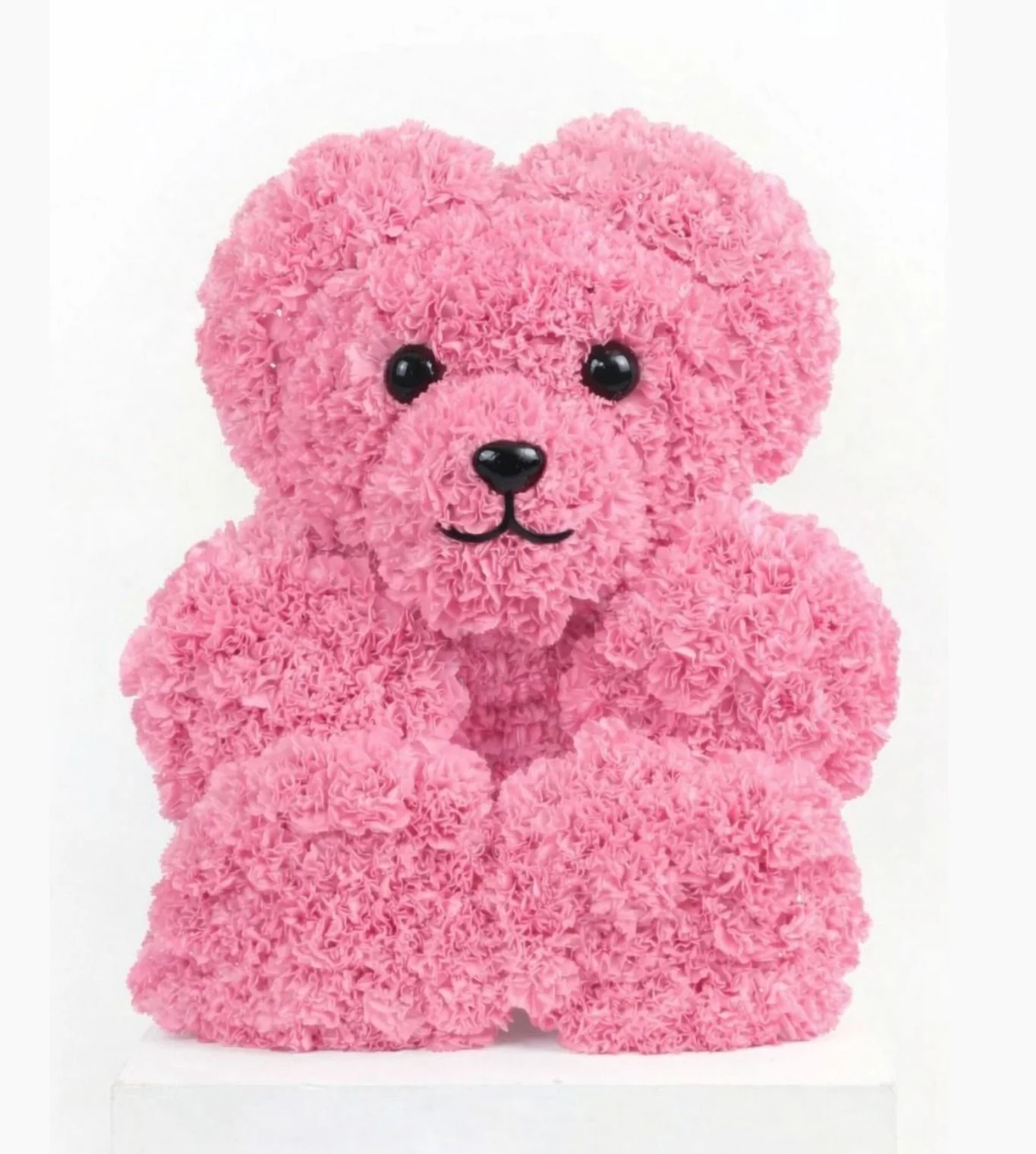 T Bear - Image 2