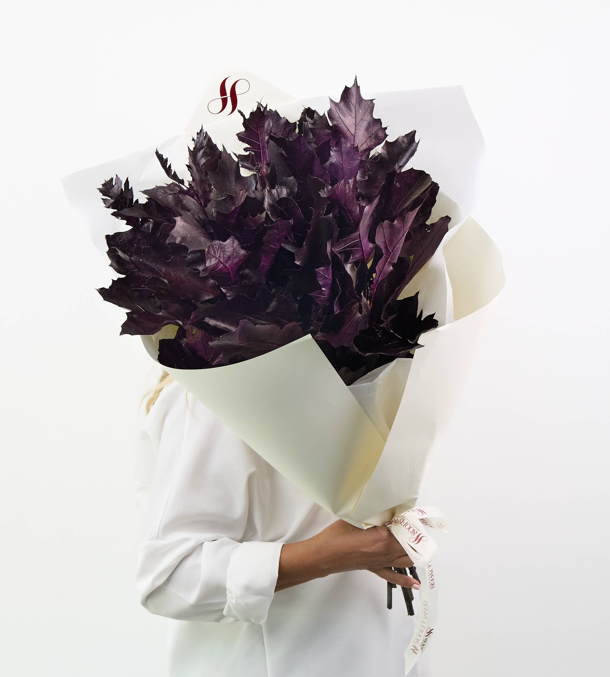Velours Violet