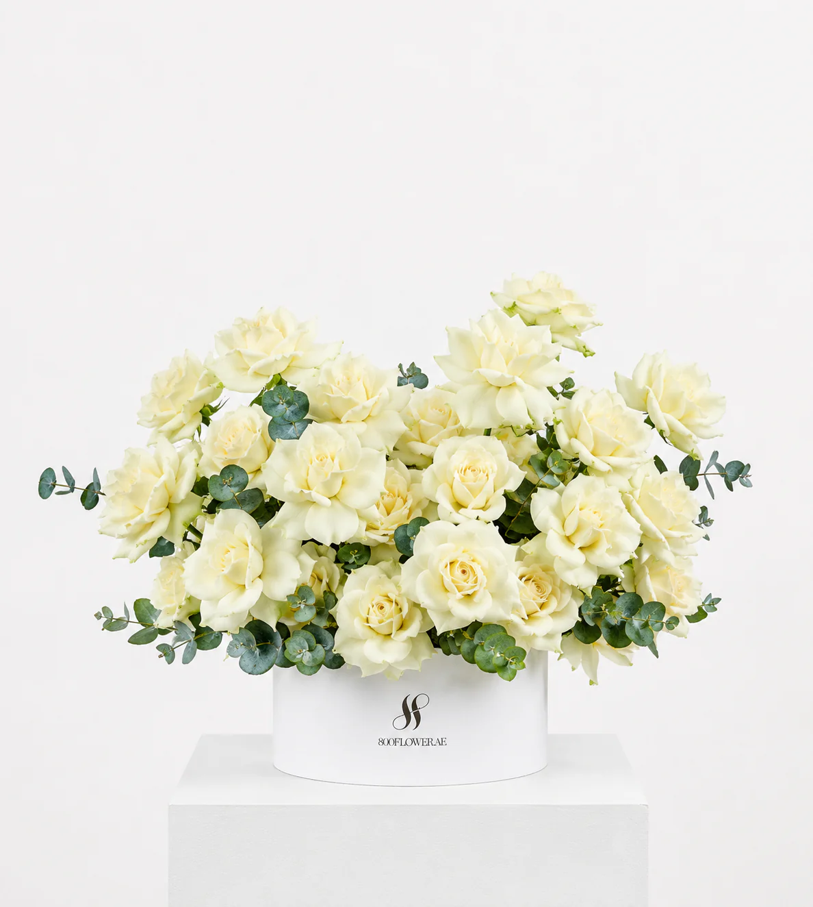 La Rose Blanche